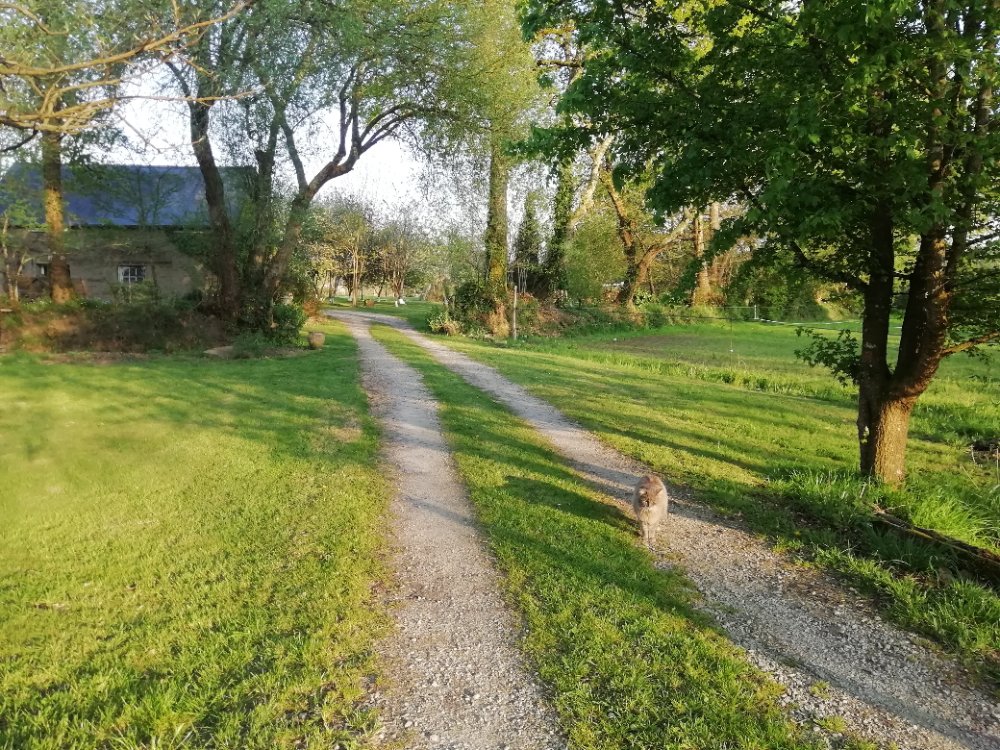 Aire camping-car  Rosporden (29140) - Photo 3